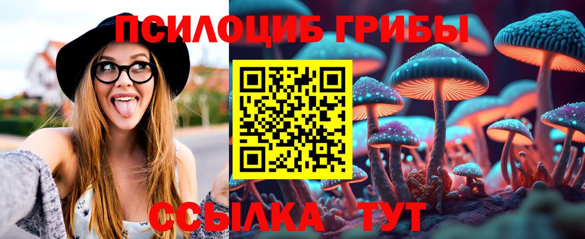 где купить   Псилоцибиновые грибы MAGIC MUSHROOMS  Вход с VPN  Ковров 